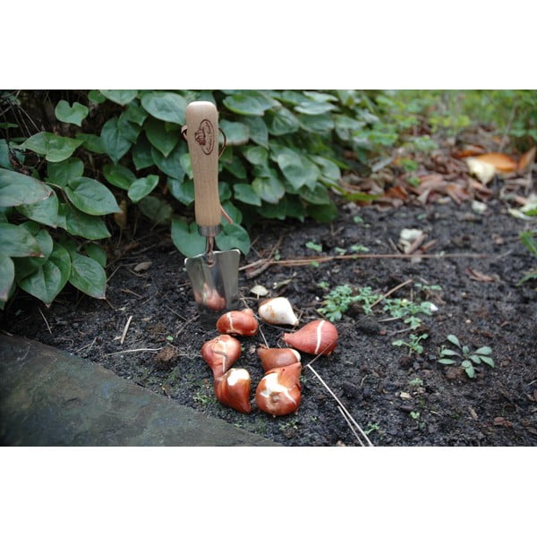 Přesazovací lopatka z jasanového dřeva Esschert Design Pond-image-4