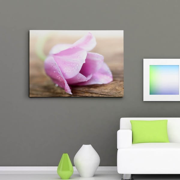 Obraz na plátně Květina s kapkami rosy, 50x70 cm