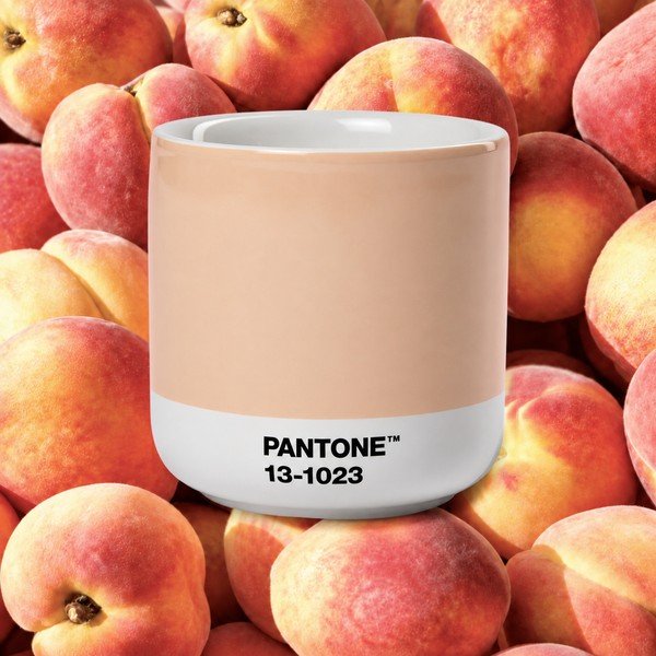 Oranžový porcelánový šálek na cappuccino 175 ml Peach Fuzz 13-1023 – Pantone-image-1