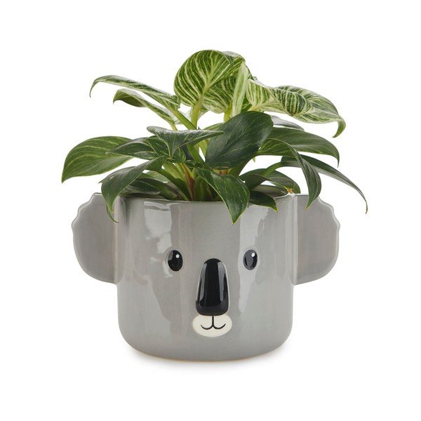 Keramický květináč ø 13,5 cm Koala – Balvi-image-1