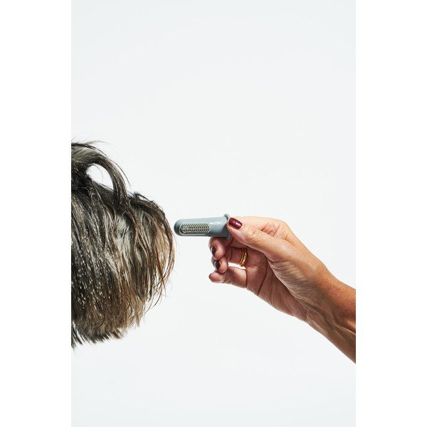 Zubní kartáčky pro domácího mazlíčka v sadě Dito – MiaCara-image-4