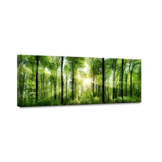 Obraz Styler Glasspik Nature Sunlight, 50 x 125 cm