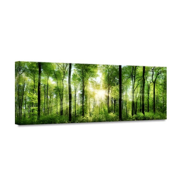 Obraz Styler Glasspik Nature Sunlight, 50 x 125 cm