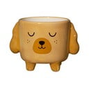 Kamenný obal na květináč ø 7,5 cm Cockapoo – Sass & Belle