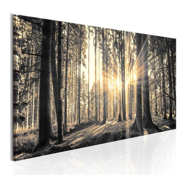 Obraz na plátně Artgeist Forest Sun, 150 x 50 cm