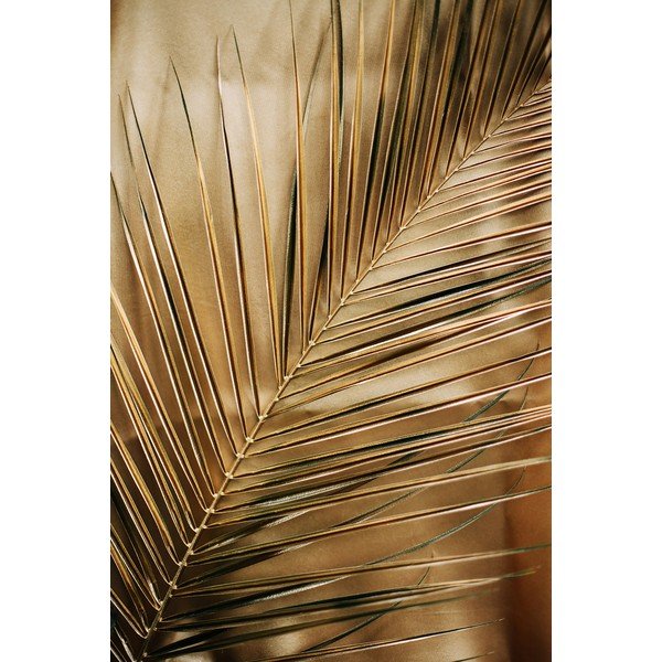 Tištěný skleněný obraz 80x120 cm Gold Palm  – Styler