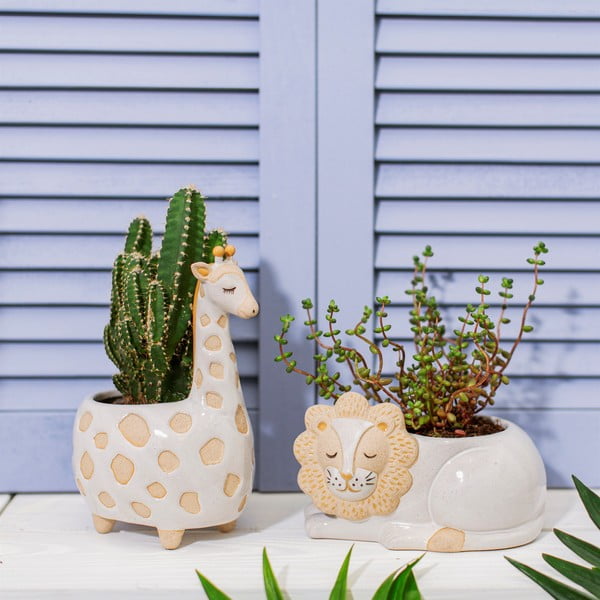 Bílo-béžový květináč Sass & Belle Leo Lion, ø 7 cm-image-1