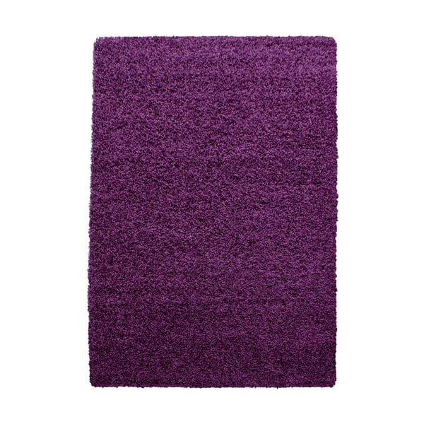 Tmavě fialový koberec 80x150 cm Life – Ayyildiz Carpets