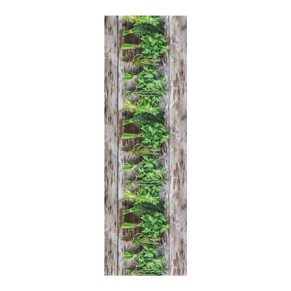 Hnědo-zelený běhoun Floorita Aromatica, 58 x 280 cm