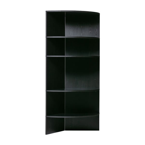 Černá knihovna z jasanového dřeva 100x168 cm Trian – WOOOD