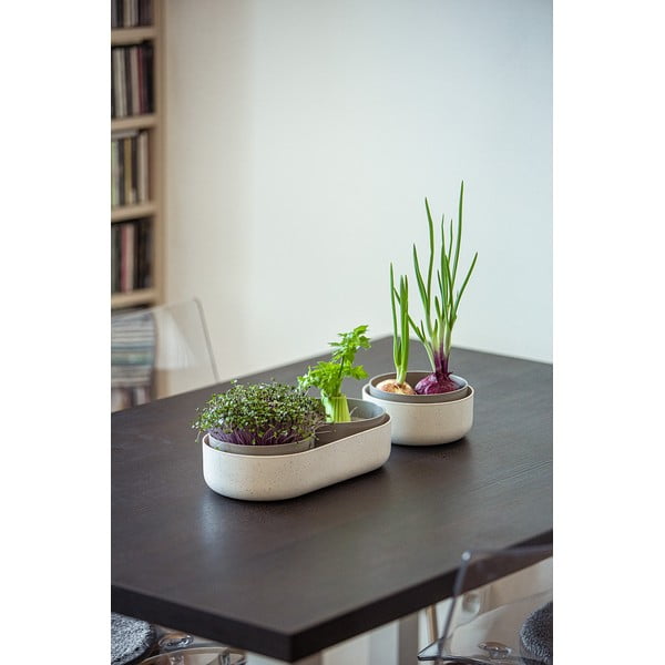 Sada klíčících misek Velká farma Microgreens & Regrow - Plastia-image-1
