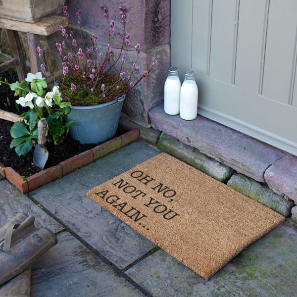 Rohožka z kokosového vlákna 40x60 cm Oh No Not You Again – Artsy Doormats-image-1
