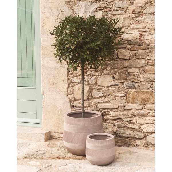 Betonové obaly na květináče v sadě 2 ks ø 50 cm Tival – Kave Home-image-2