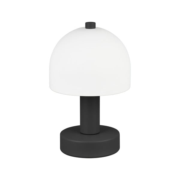 Černo-bílá stolní lampa se skleněným stínidlem (výška 19 cm) Glenn – Trio