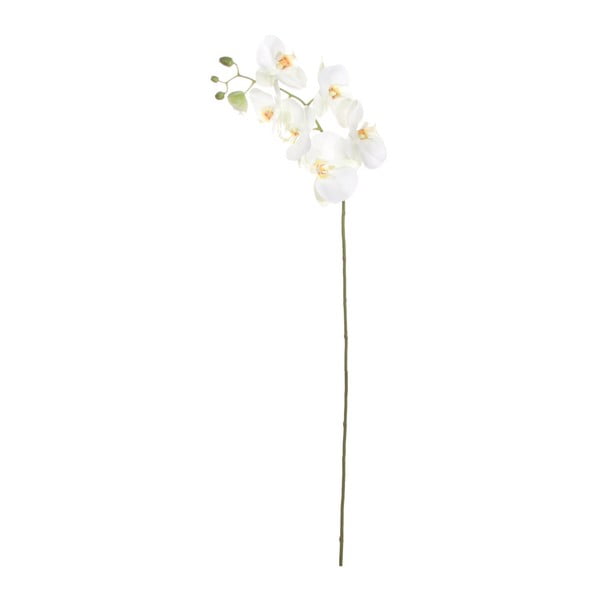 Umělá květina SHISHI Pahalaneopsis, výška 103 cm