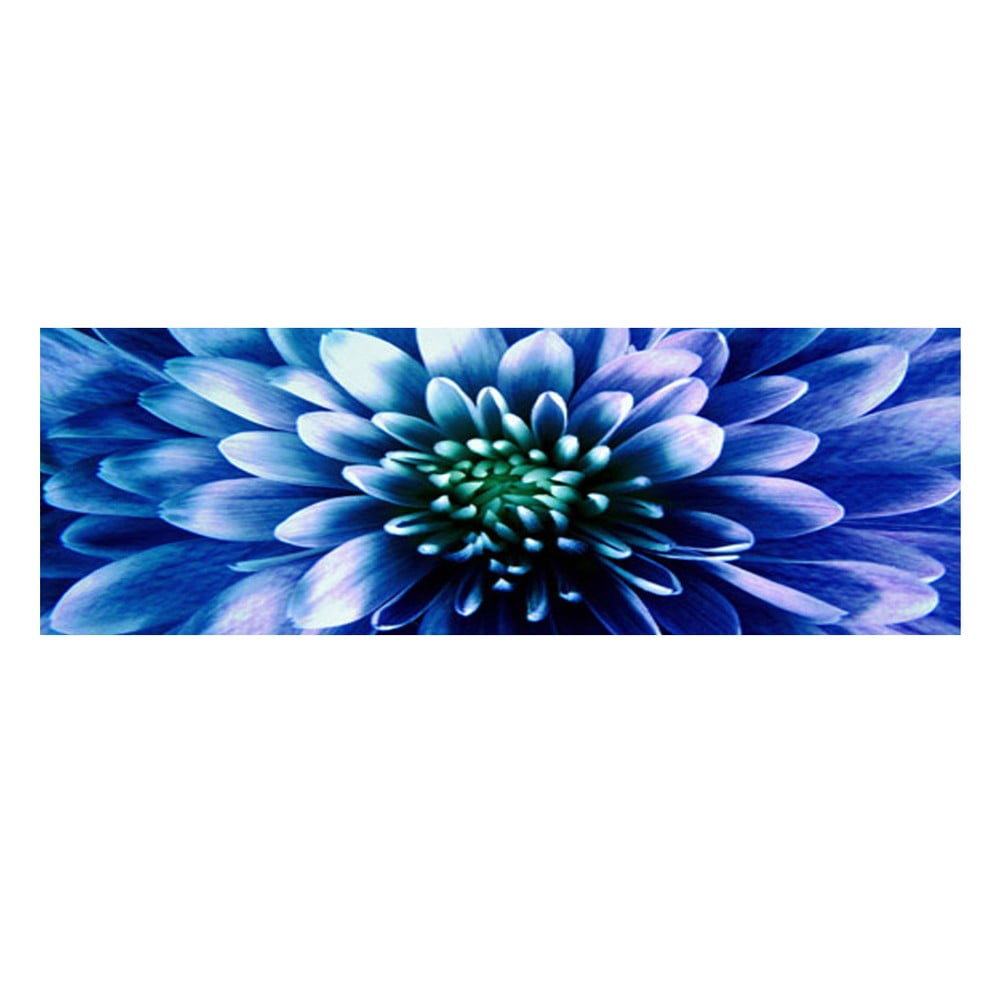 Obraz na skle Modrý květ, 30x90 cm