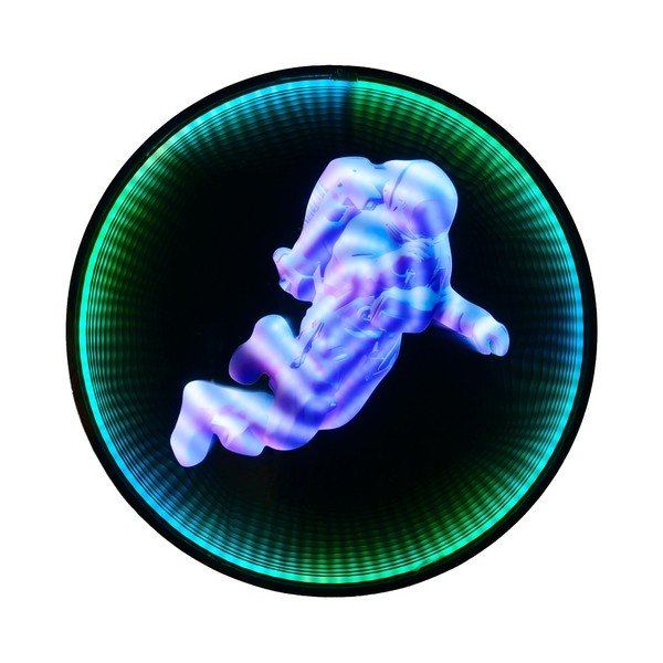 Černá nástěnná světelná dekorace do zásuvky ø 60 cm Duke – Reality