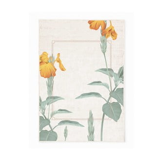 Koberec Oyo Concept Alabama, 80 x 140 cm