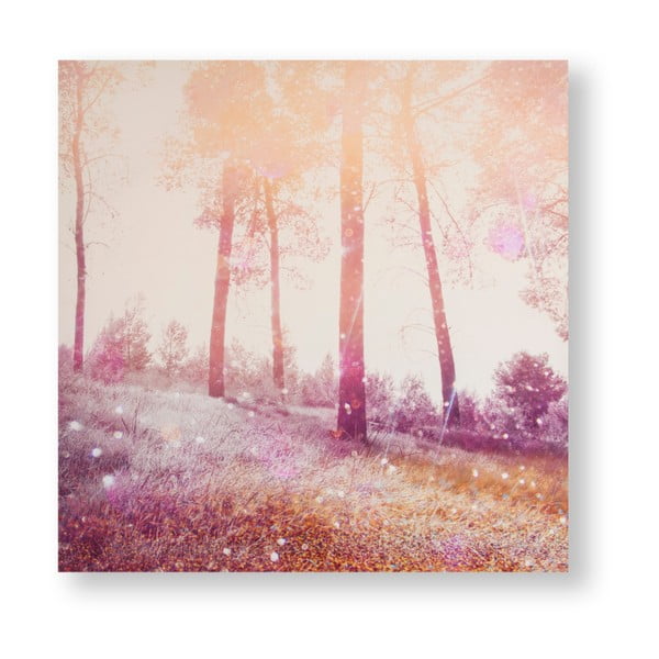 Obraz Graham & Brown Meadow Daydream, 60 x 60 cm