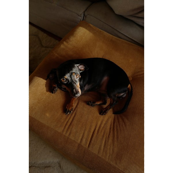 Manšestrový taburet More – Karup Design-image-4