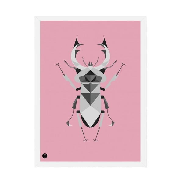 Plakát Stag Beetle Pink, 50x70 cm