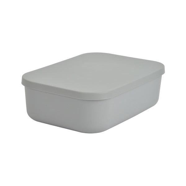 Šedý plastový úložný box s víkem 24x18x8 cm – Homéa