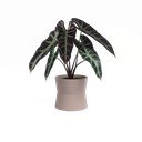 Keramický květináč ø 14 cm Diana – Artevasi