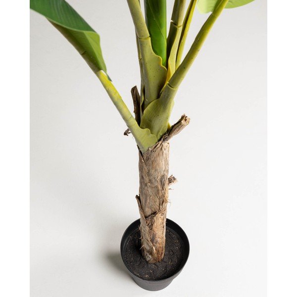 Umělá palma (výška 160 cm) Baa – Kave Home-image-2