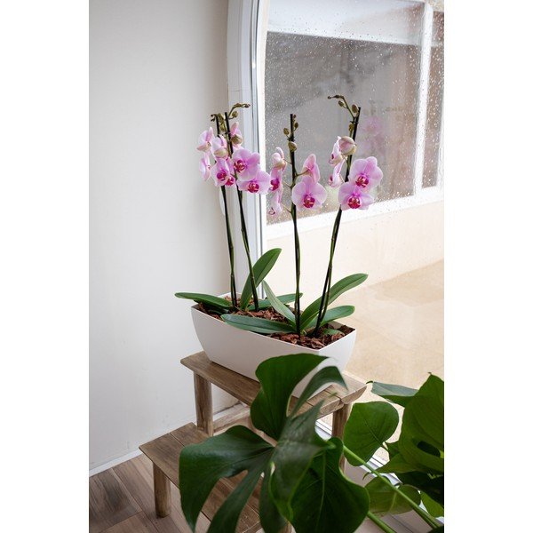 Truhlík z recyklovaného plastu 40 cm Siena – Artevasi-image-2