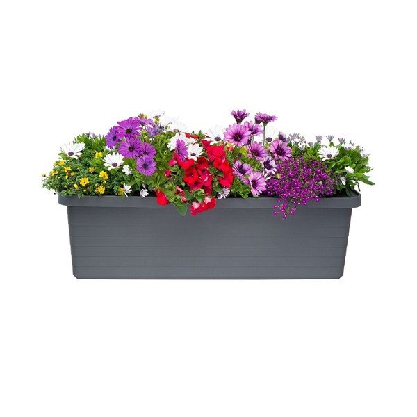 Antracitový velkoobjemový samozavlažovací truhlík, 72 l Berberis Trio - Plastia-image-1