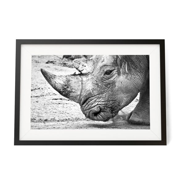 Zarámovaný plakát We Love Home Rhinoceros, 30 x 40 cm