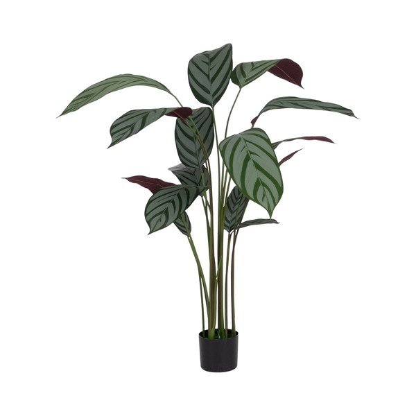 Umělá rostlina (výška 150 cm) Calathea – Ixia