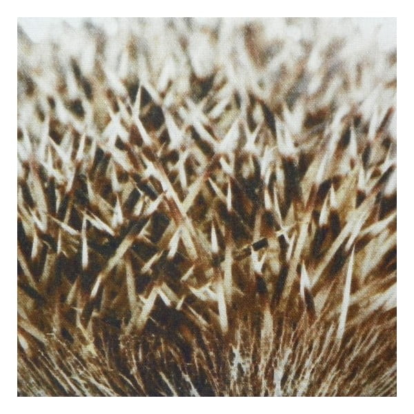 Polštář Winter Hedgehog 50x50 cm-image-2