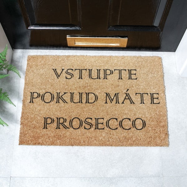 Rohožka z kokosového vlákna 40x60 cm Prosecco – Artsy Doormats-image-2