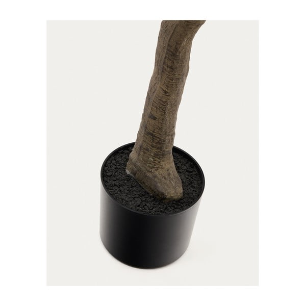 Umělý fíkus (výška 210 cm) Ficus – Kave Home-image-3