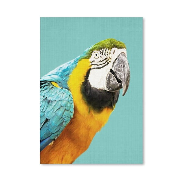 Plakát Tropic Parrot