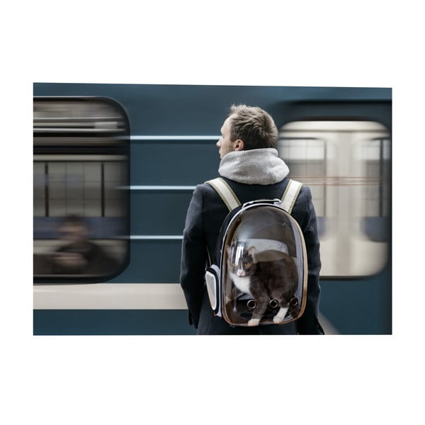 Přepravní taška pro domácího mazlíčka 28x33 cm – Love Story-image-3