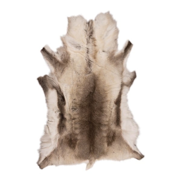 Hnědobéžová sobí kožešina Arctic Fur Reino, 120 x 100 cm
