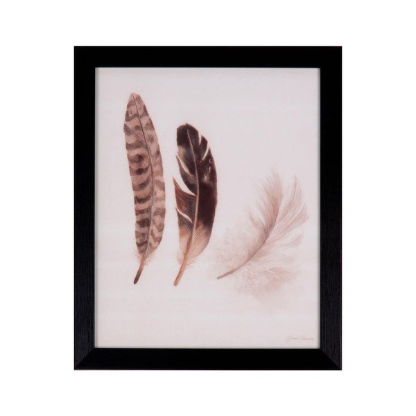 Obraz sømcasa Feathers, 25 x 30 cm