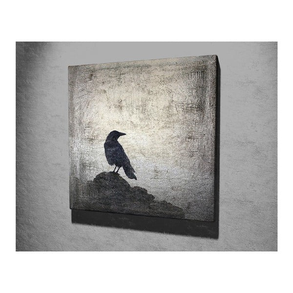 Nástěnný obraz na plátně Black Bird, 45 x 45 cm-image-2