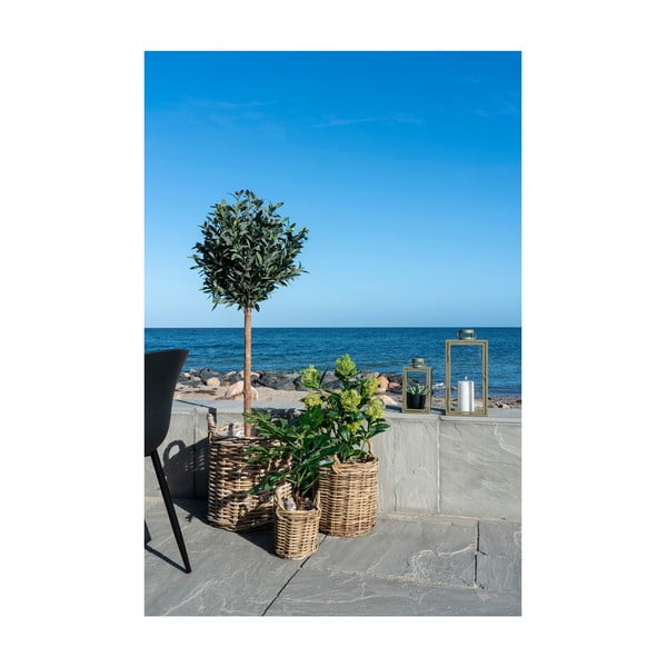 Umělá rostlina (výška 60 cm) Fig – House Nordic-image-3