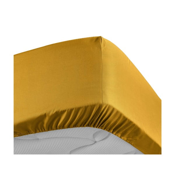 Žluté napínací prostěradlo z bavlněného perkálu 180x200 cm Percaline – douceur d'intérieur-image-3