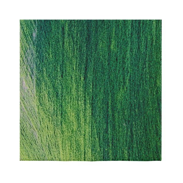 Zelený koberec Oyo home Suzzo Garto, 80 x 150 cm-image-1