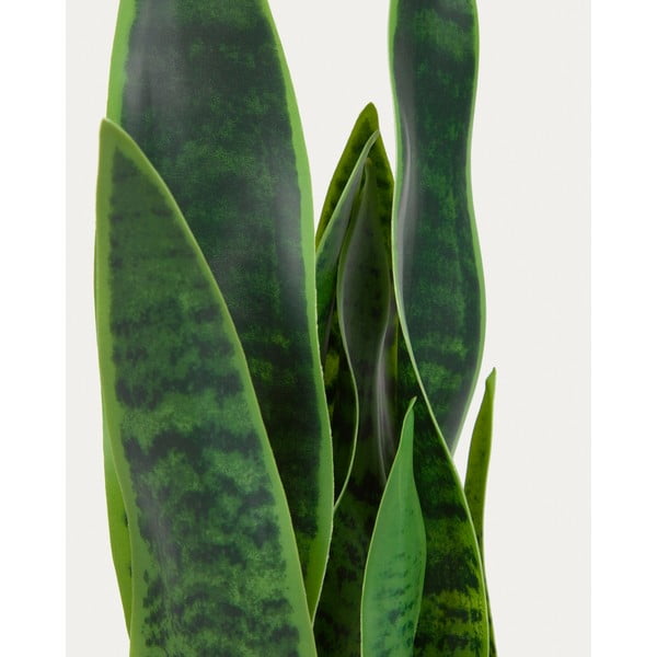 Umělá rostlina (výška 55 cm) Sansevieria – Kave Home-image-3