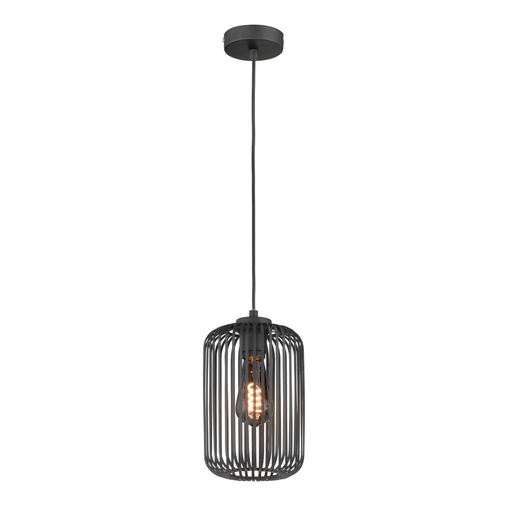 Černé závěsné svítidlo s kovovým stínidlem ø 16 cm Cage – Fischer & Honsel