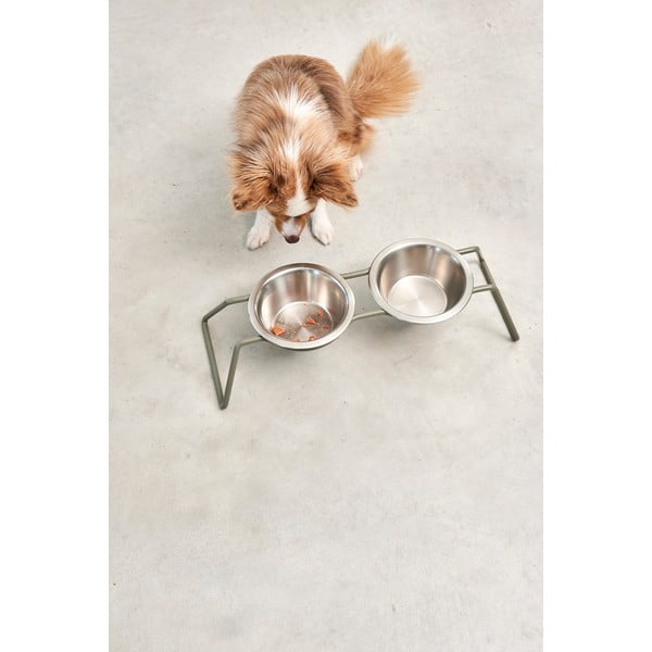 Set misek s podstavcem pro psa z nerezové oceli Cena Grollive M – MiaCara-image-3