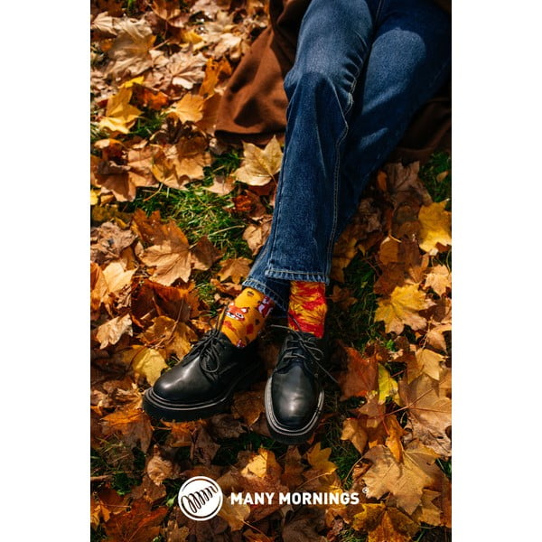 Ponožky Many Mornings The Squirrels, vel. 35-38-image-2