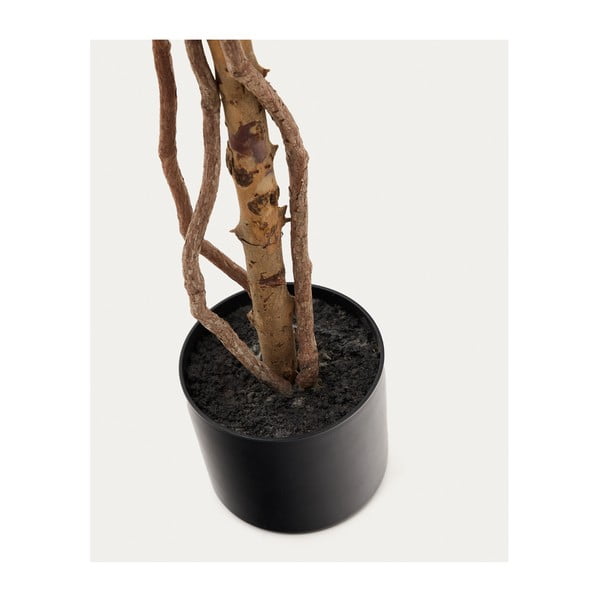 Umělý fíkus (výška 180 cm) Ficus – Kave Home-image-2
