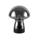 Šedá LED stolní lampa se skleněným stínidlem (výška 18 cm) Dooley – Reality