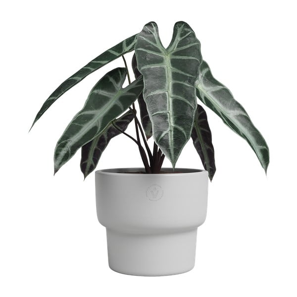 Keramický ručně vyrobený květináč ø 17 cm Echo – Artevasi-image-1